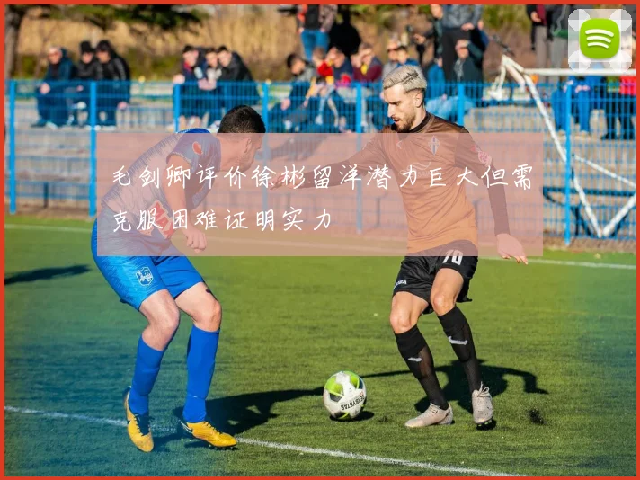 毛剑卿评价徐彬留洋潜力巨大但需克服困难证明实力